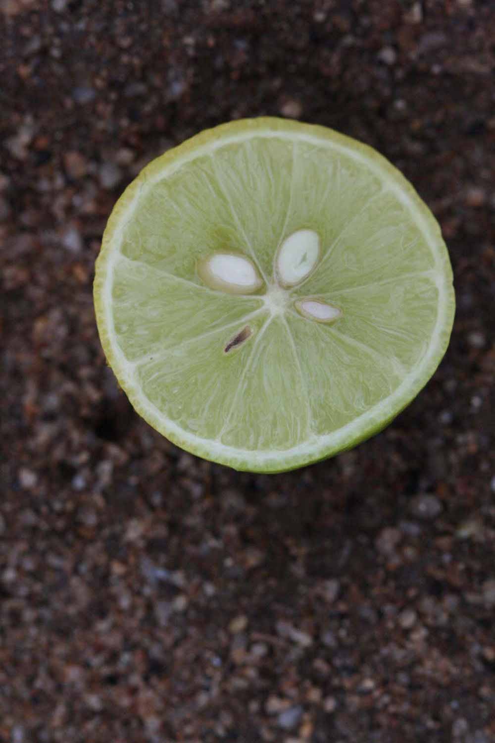            Fruit cross-section (Riverside, CA)   